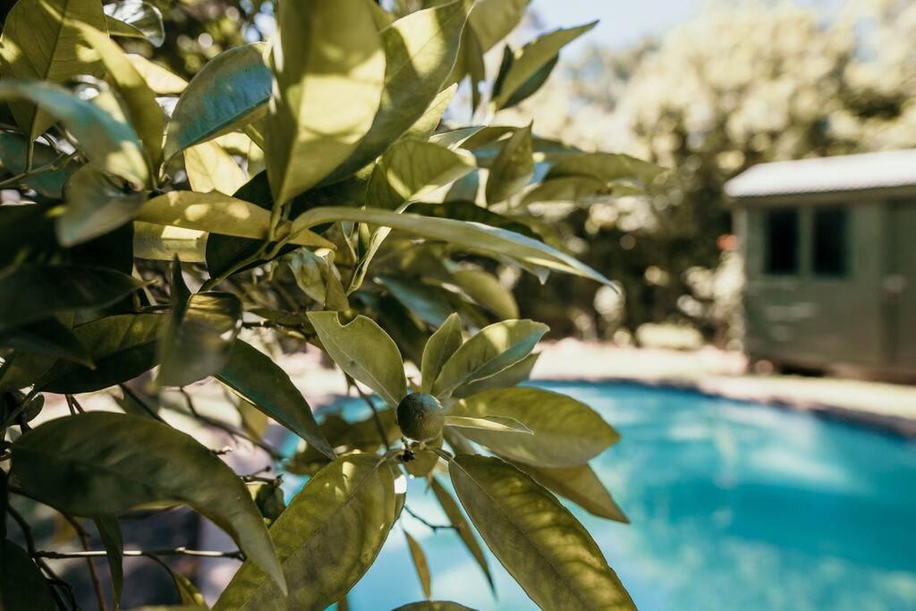 Classic Greyton Cottage For Two Εξωτερικό φωτογραφία